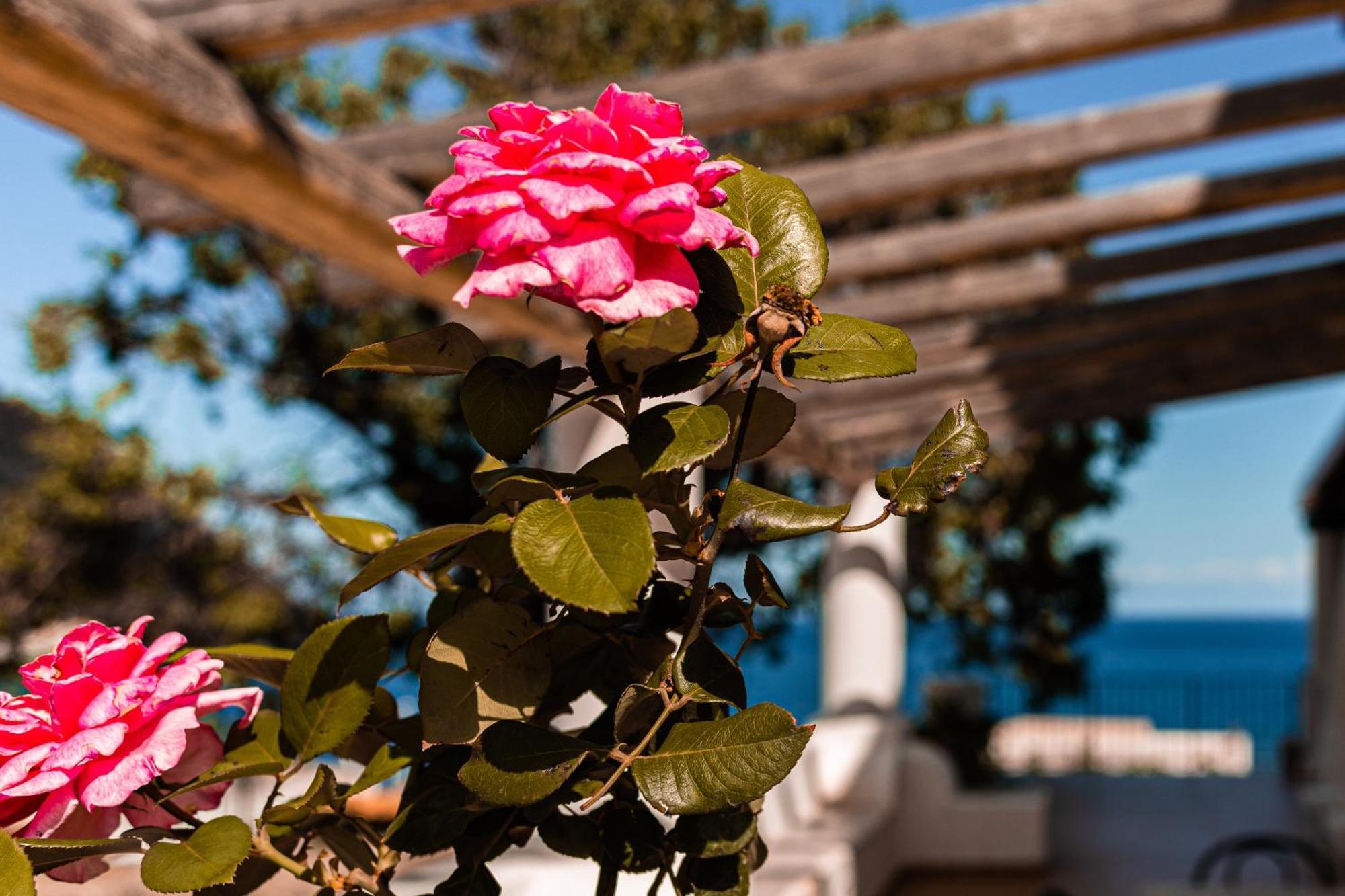 Villa Grazia Lipari Kültér fotó